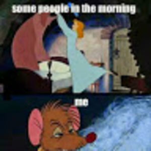 Meet your Posher, Jolene